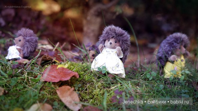 История "Мой новый маленький друг". В главной роли кукла фирмы Azone