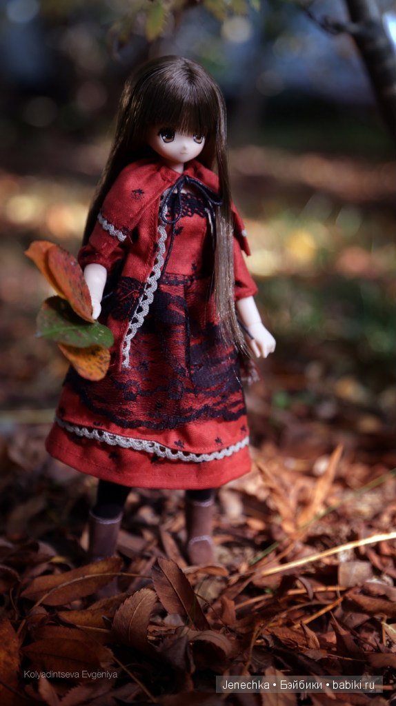 История "Мой новый маленький друг". В главной роли кукла фирмы Azone (фото 5)