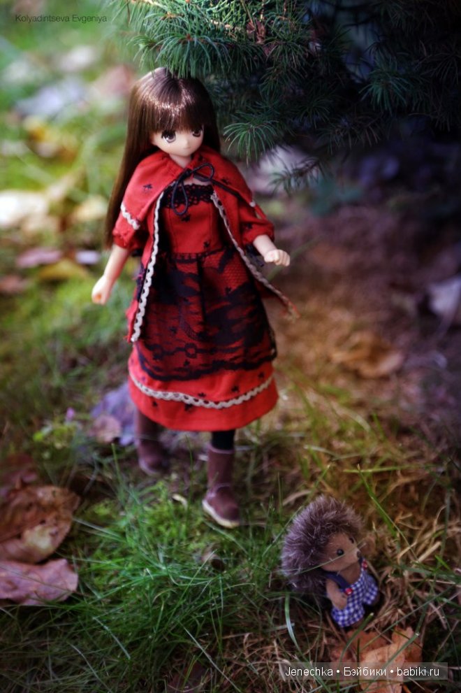 История "Мой новый маленький друг". В главной роли кукла фирмы Azone