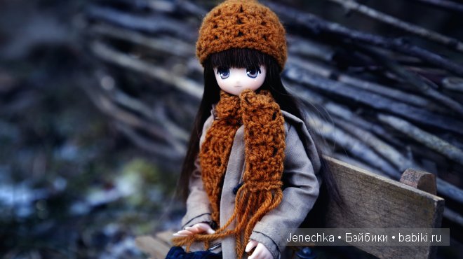 Мороз - не повод сидеть дома! (кукла Azone) (фото 4)