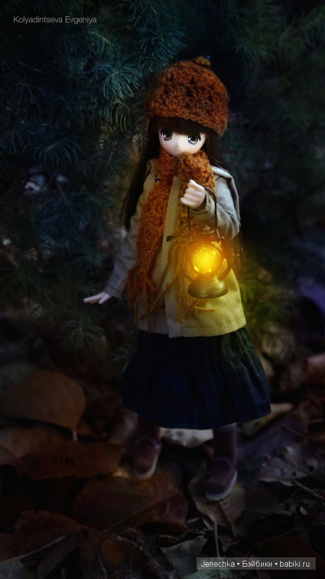 Мороз - не повод сидеть дома! (кукла Azone) (фото 8)