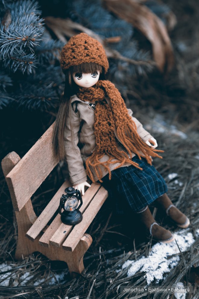 Мороз - не повод сидеть дома! (кукла Azone) (фото 2)