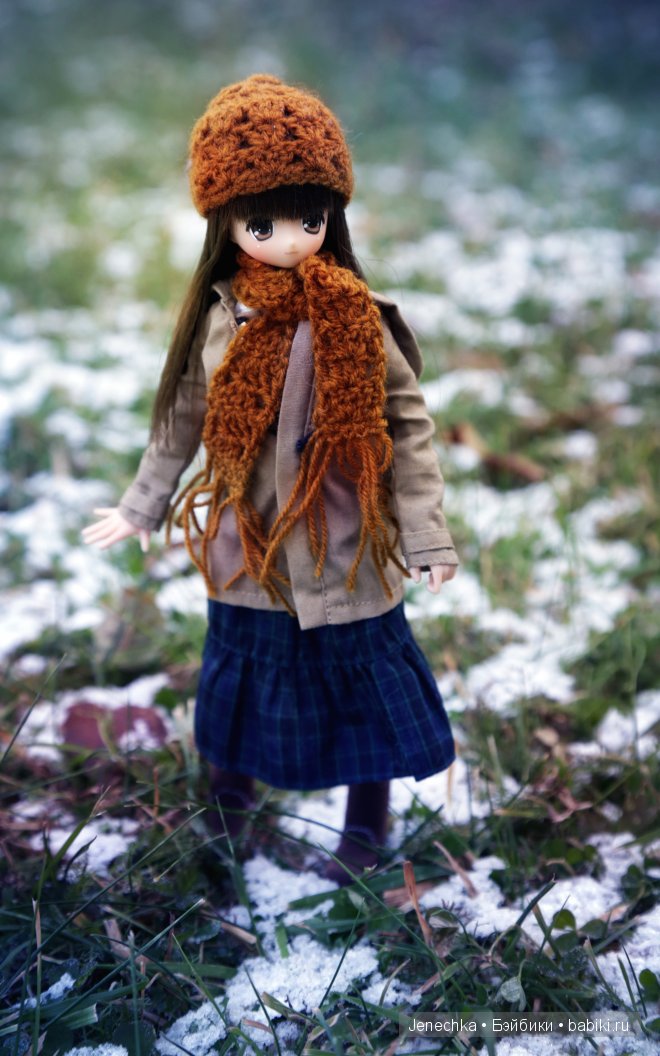 Мороз - не повод сидеть дома! (кукла Azone) (фото 6)