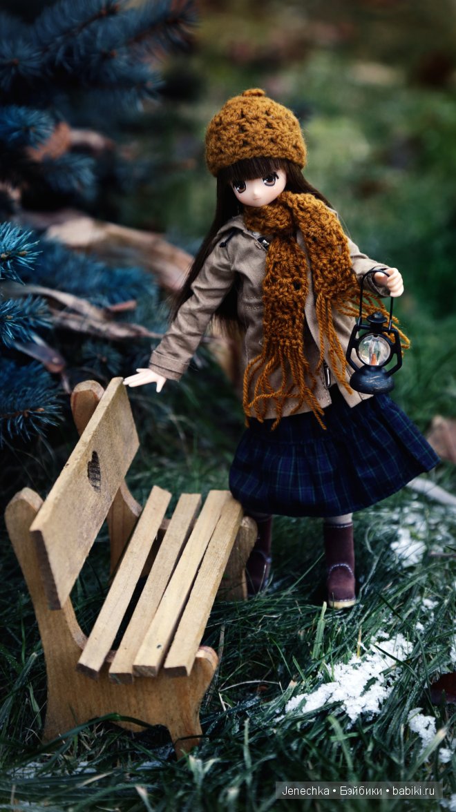 Мороз - не повод сидеть дома! (кукла Azone) (фото 3)