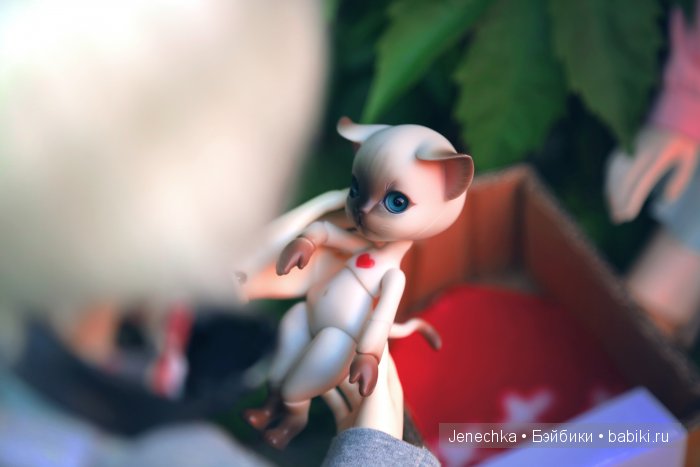 В добрые руки (фотоистория) (фото 8)