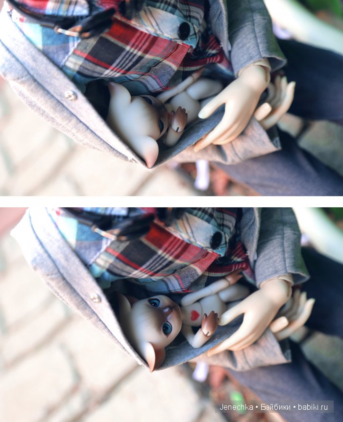 В добрые руки (фотоистория) (фото 10)