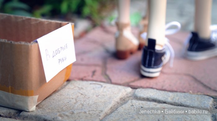 В добрые руки (фотоистория)