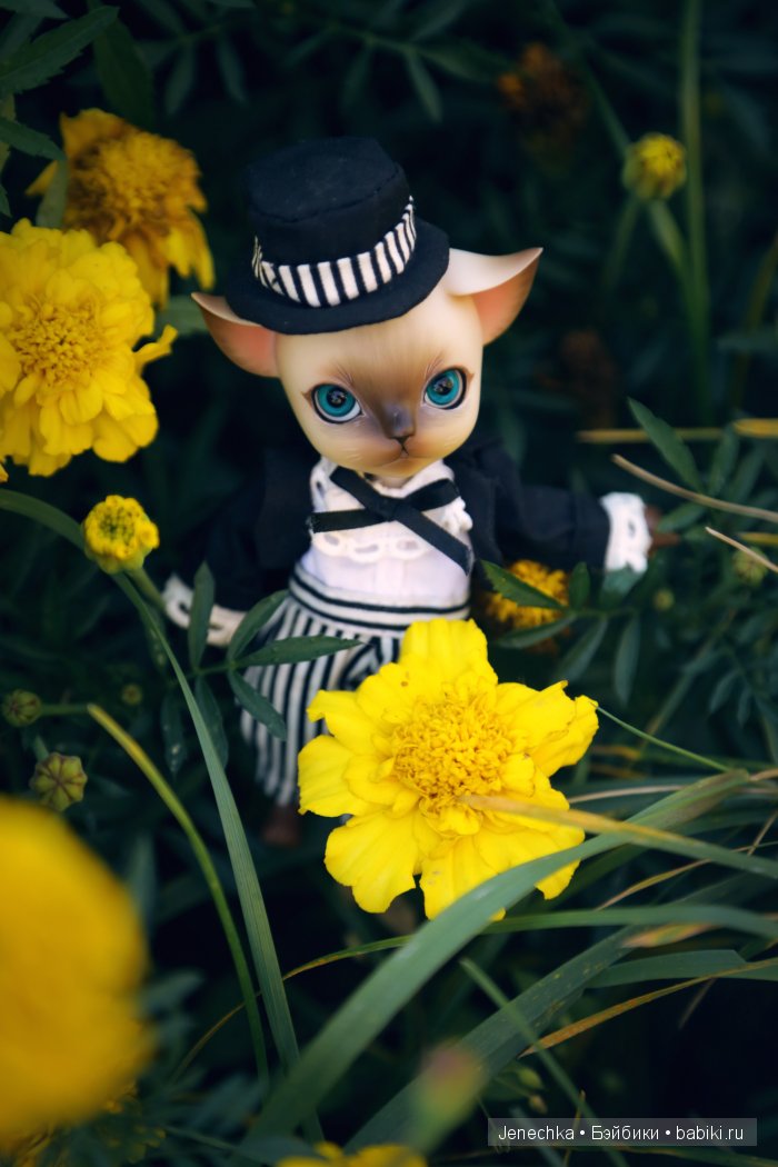 В добрые руки (фотоистория)