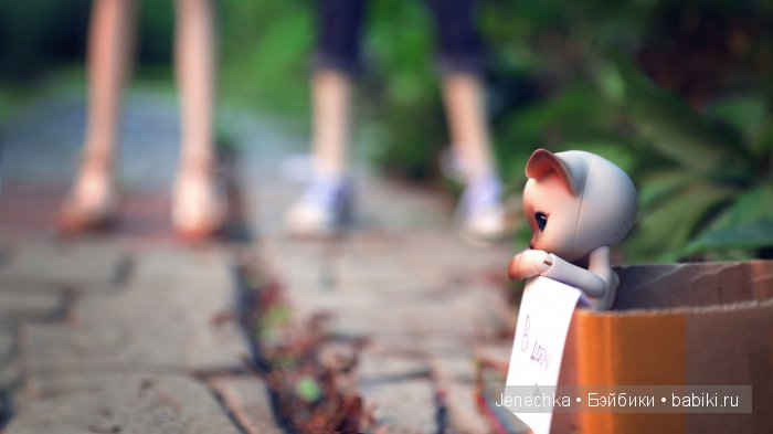 В добрые руки (фотоистория) (фото 6)