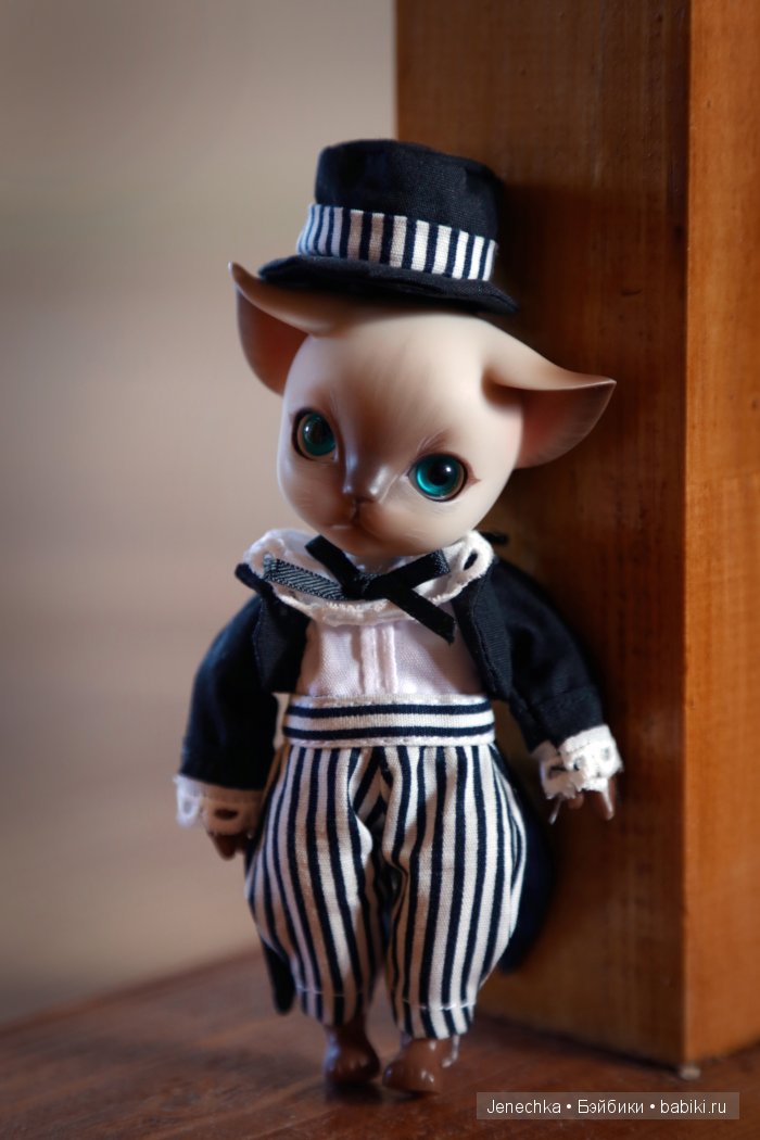 В добрые руки (фотоистория)