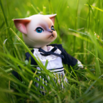 В добрые руки (фотоистория)