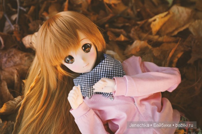 Наша осень — Куклы Smart Doll (Смарт Долл) 1/3: фото
