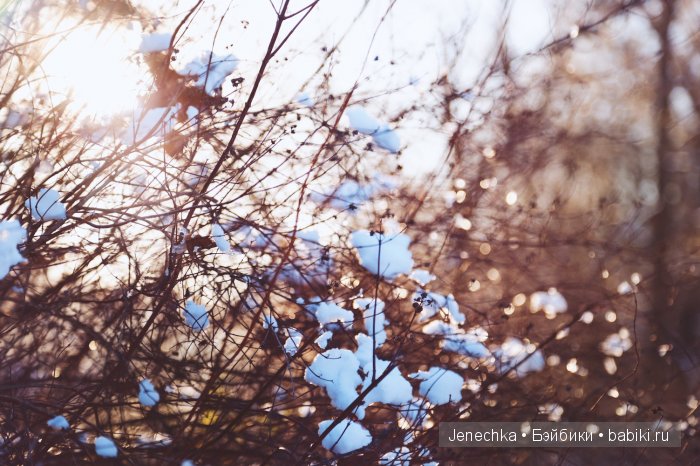 Наконец-то зима — Фотоистории с куклами BJD (БЖД): сериалы