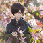 Под цветущими яблонями