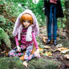 Лисьи приключения: Кролик, или лис - вот в чём вопрос