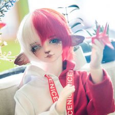 Мои «фантастические твари»