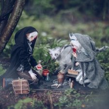 Заколдованный лес