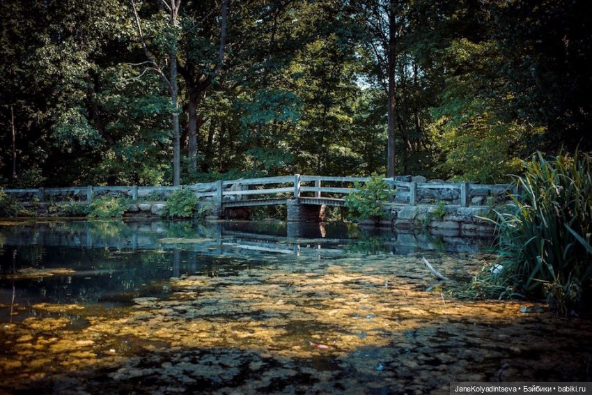 Welcome to New York — Туризм и путешествия: фотоотчеты из поездок (фото 4)