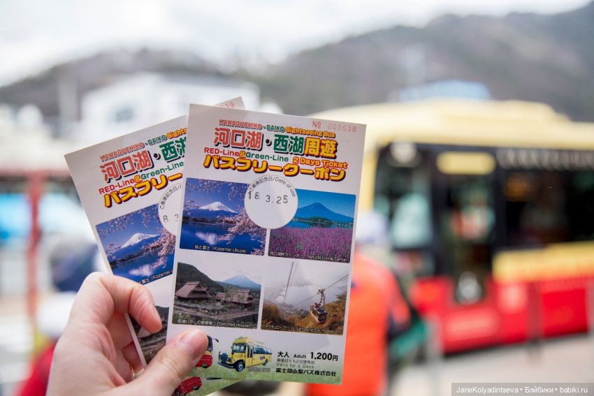 Удивительный Токио — Туризм и путешествия: фотоотчеты из поездок (фото 10)