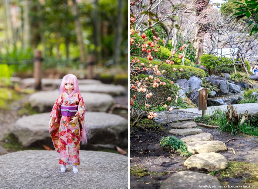 Удивительный Токио — Туризм и путешествия: фотоотчеты из поездок