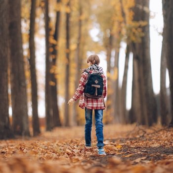 Дорога домой