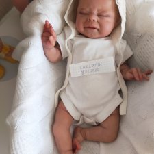 Кукла реборн Винсент