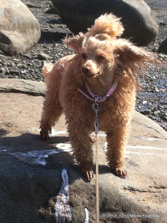 Прогулка у моря. Куклы Сони Хартманн