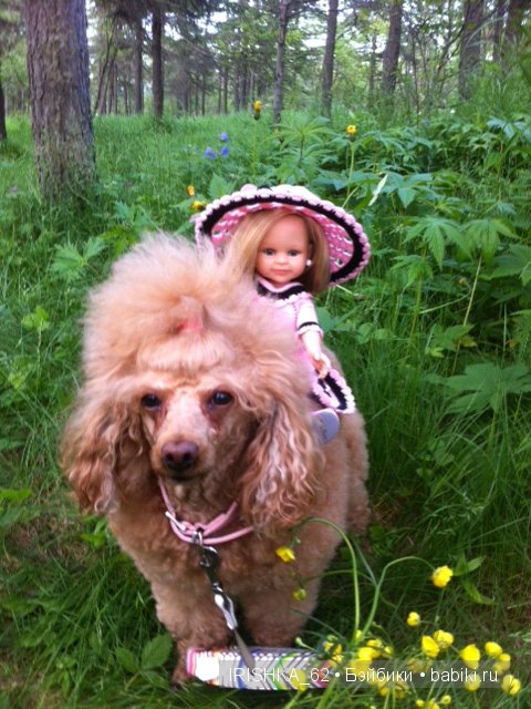 А мы гуляли в лесу! Клепочка от Paola Reina