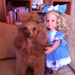 То, что осталось за кадром. Часть 1. Подготовка.