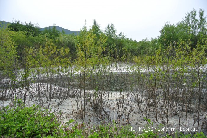 Кто где гуляет. Куклы Готц. Часть 1. Ханна на море