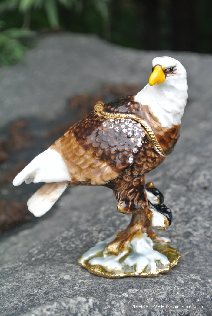 Умный в горы не пойдет? По следам конкурса «Мальчик с девочкой дружил». Куклы Kidz and Cats