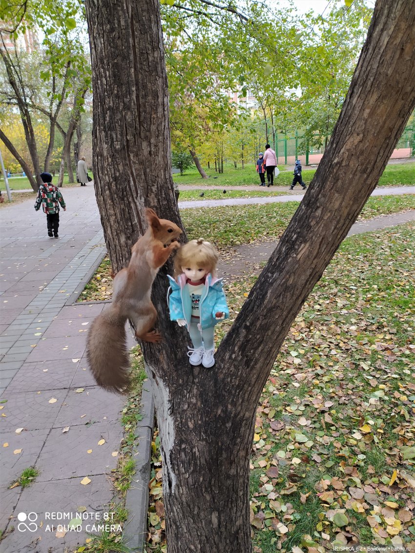 Красивая осень в Новосибирске. Часть 2. Белки