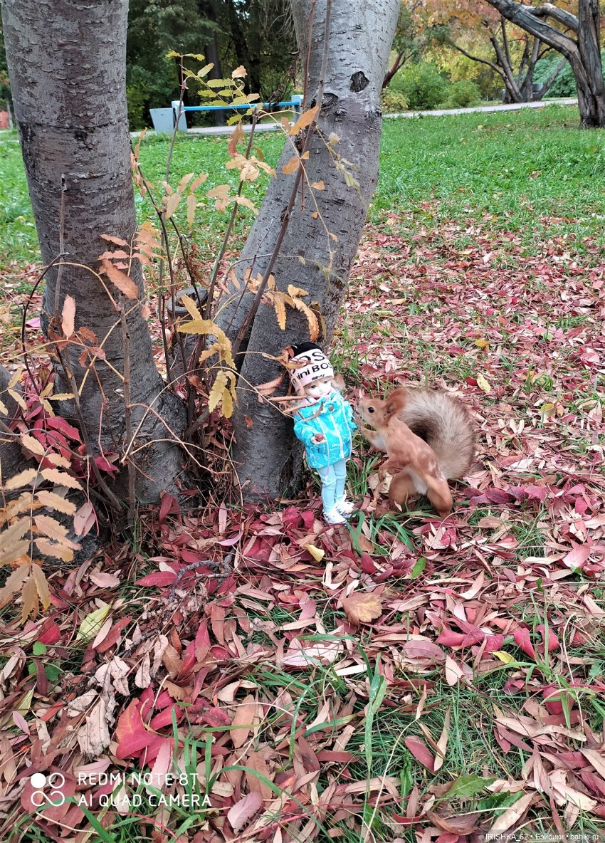 Красивая осень в Новосибирске. Часть 2. Белки (фото 4)