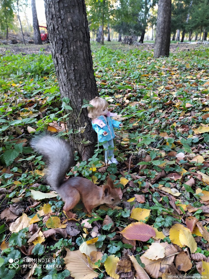 Красивая осень в Новосибирске. Часть 2. Белки