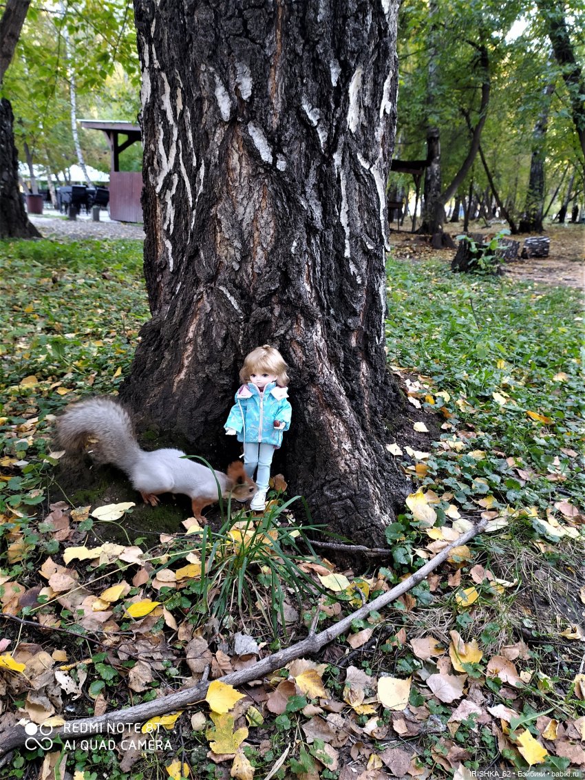 Красивая осень в Новосибирске. Часть 2. Белки (фото 8)