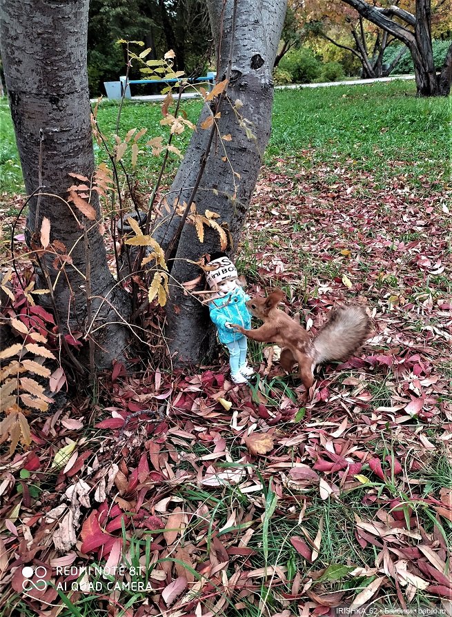 Красивая осень в Новосибирске. Часть 2. Белки (фото 5)