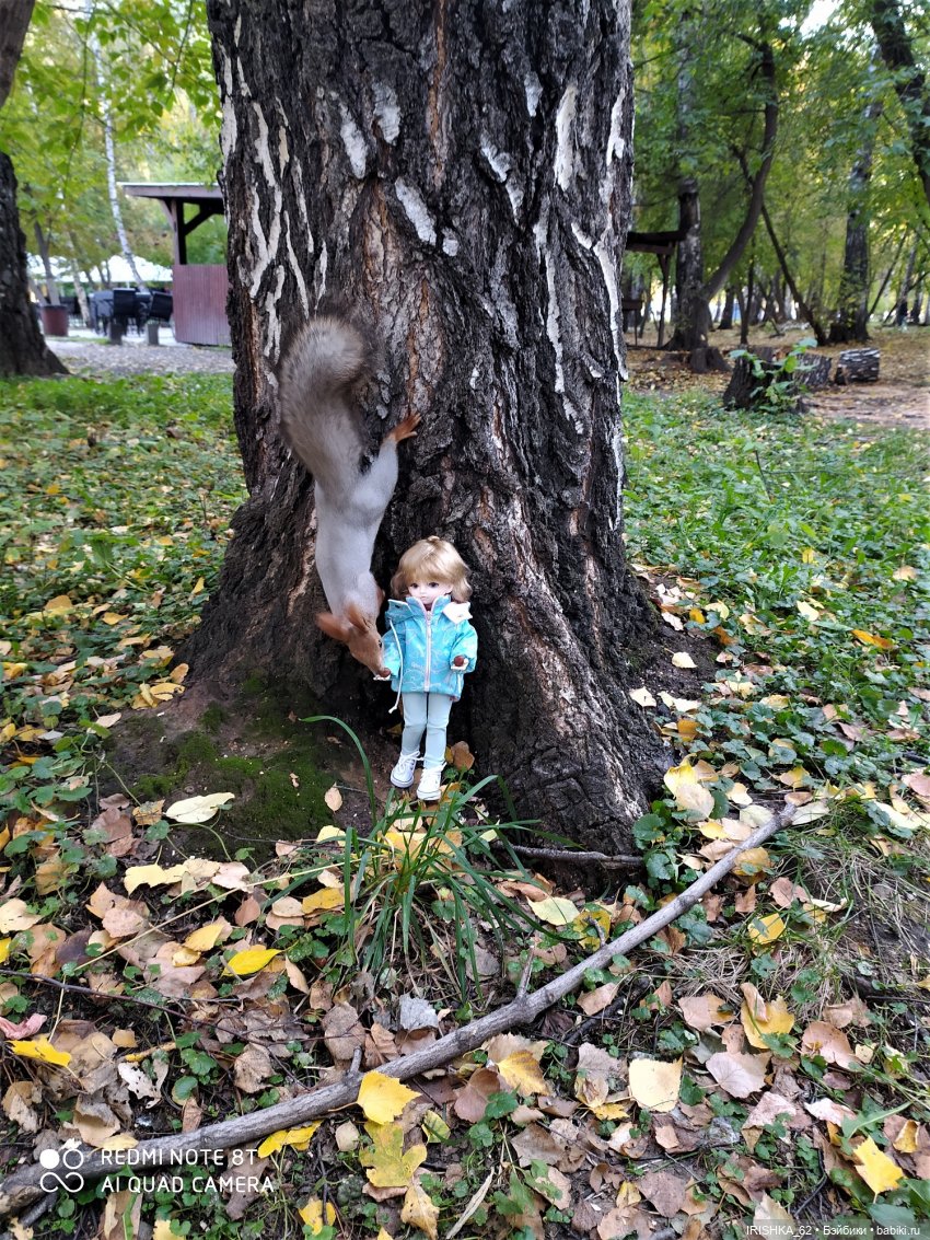 Красивая осень в Новосибирске. Часть 2. Белки (фото 7)