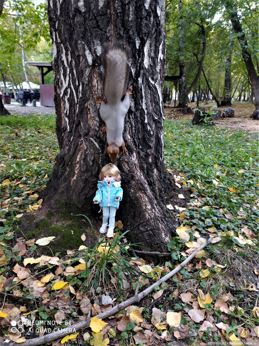 Красивая осень в Новосибирске. Часть 2. Белки (фото 6)