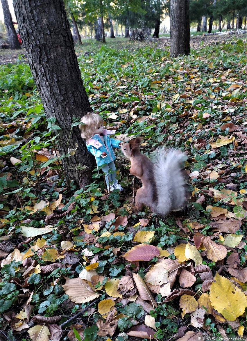 Красивая осень в Новосибирске. Часть 2. Белки