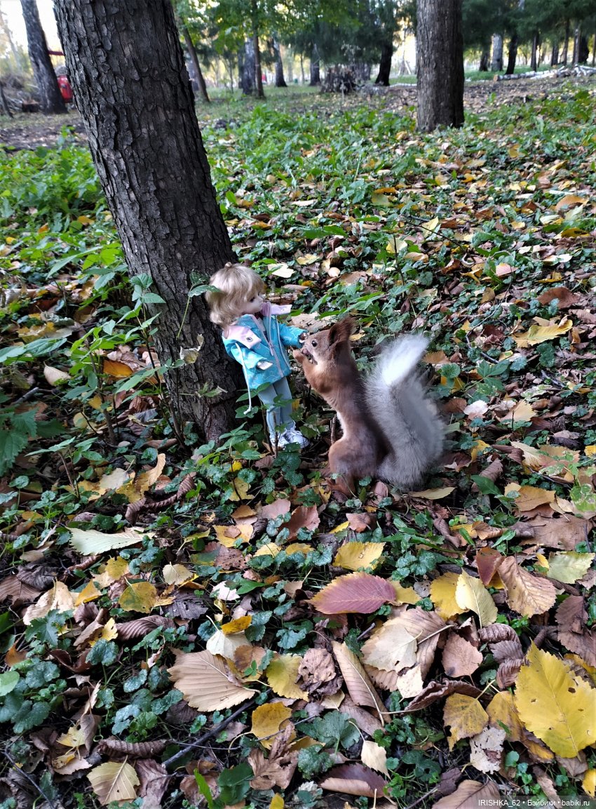 Красивая осень в Новосибирске. Часть 2. Белки