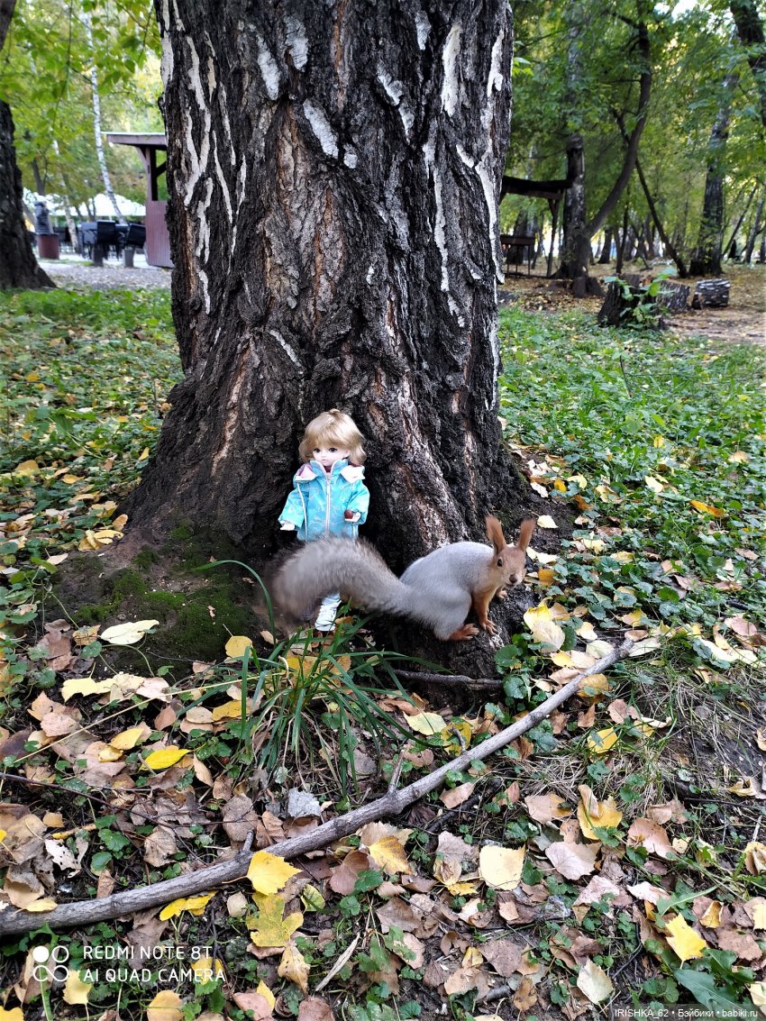 Красивая осень в Новосибирске. Часть 2. Белки (фото 9)