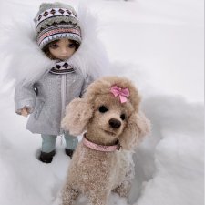 Я завела себе собаку… на 6 утра на каждый день 