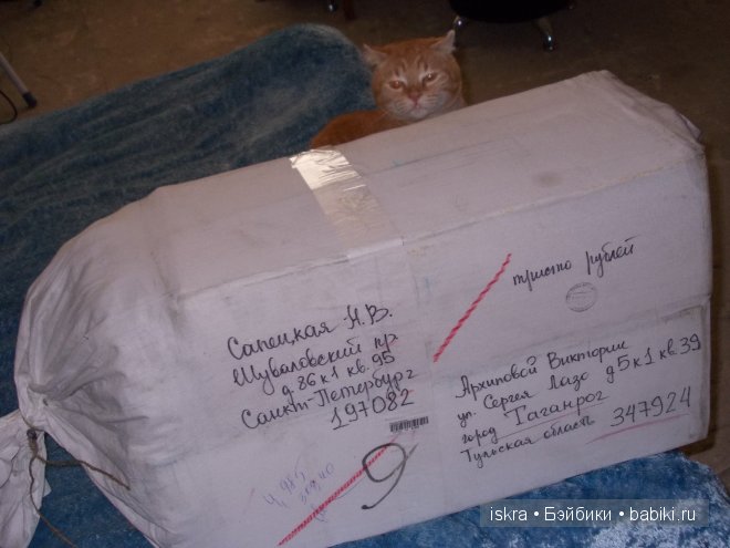 Дженна, кукла Адора — Куклы Adora (Адора): коллекционные виниловые (фото 2)