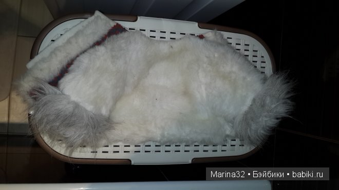 Неизвестный мальчик стал известным (фото 4)