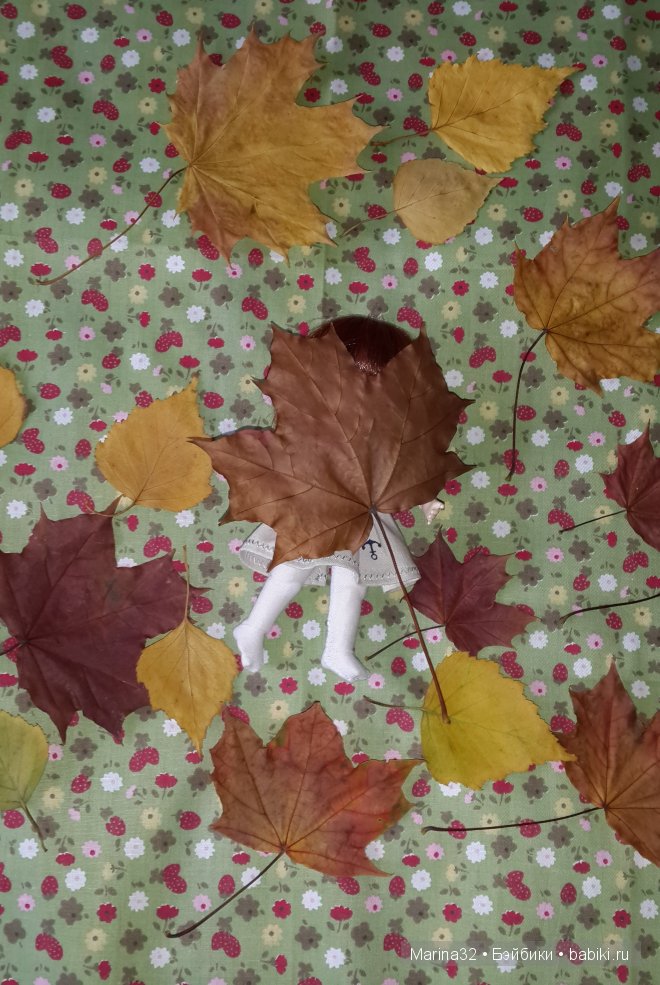 Ginger Ai или как мы удочерили малышку