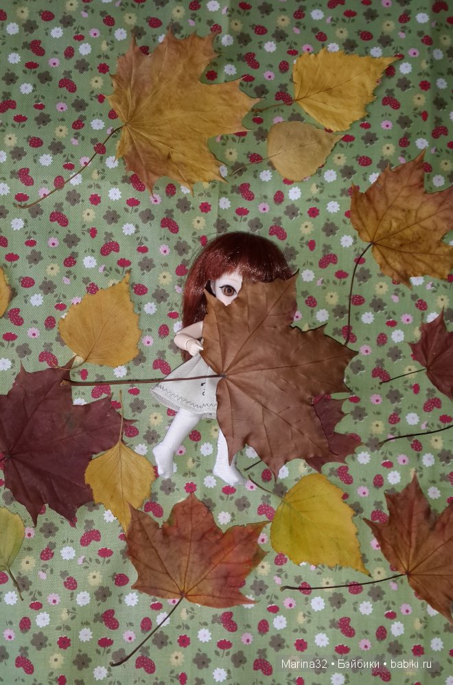 Ginger Ai или как мы удочерили малышку