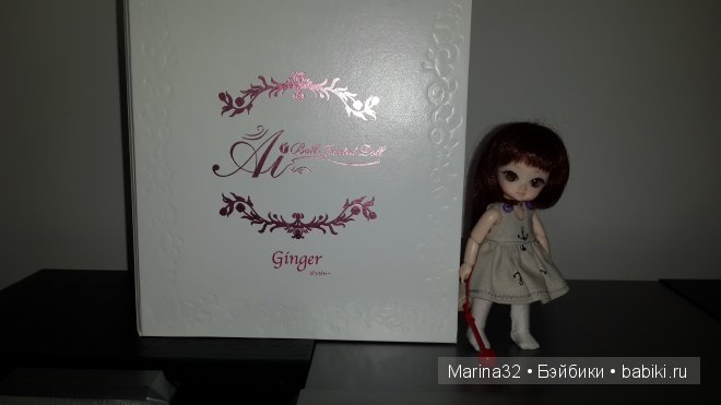 Ginger Ai или как мы удочерили малышку (фото 5)