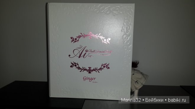 Ginger Ai или как мы удочерили малышку (фото 4)