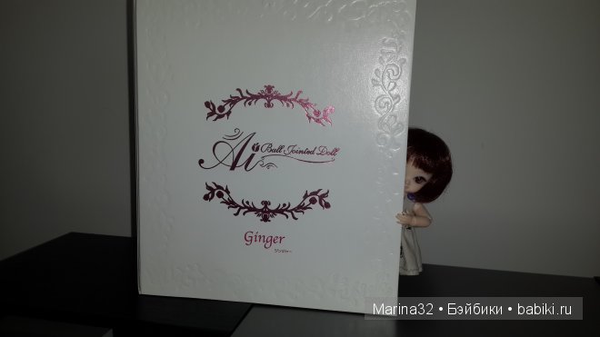 Ginger Ai или как мы удочерили малышку (фото 3)