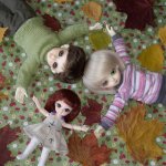 Ginger Ai или как мы удочерили малышку.